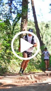 BIB:  <button type="button" onclick="openModal(26787738)" class="btn btn-primary btn-sm float-right" data-toggle="modal" data-target=".modal-high-quality">
                <i class="fa fa-download"></i> Download
                </button>